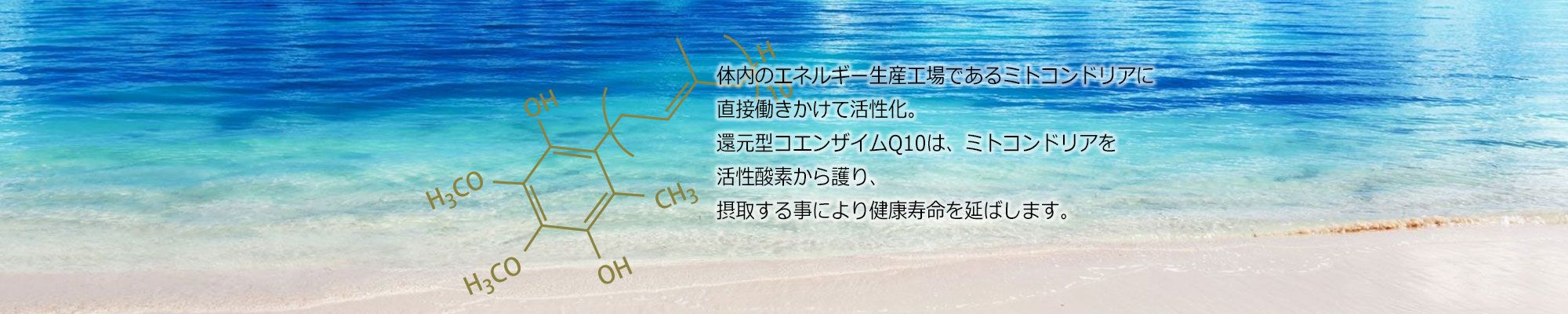 体内のエネルギー生産工場であるミトコンドリアに直接働きかけて活性化。還元型コエンザイムQ10は、ミトコンドリアを活性酸素から護り、摂取する事により健康寿命を延ばします。