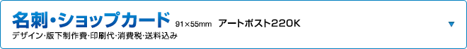 名刺・ショップカード（91×55mm）アートポスト220K　デザイン・版下制作費・印刷代・消費税・送料込み